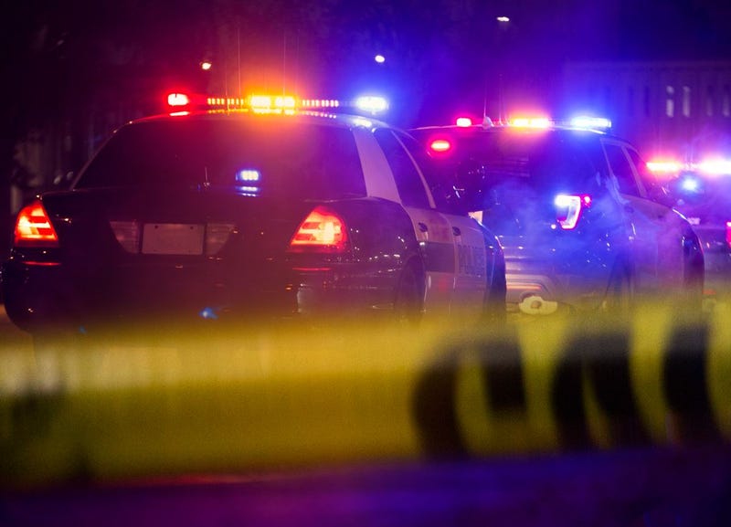 new haven homicide