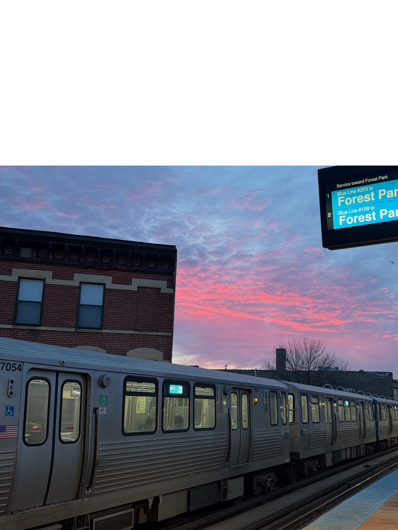 Damen is a rapid transit station on the Chicago "L", currently serving the O'Hare branch of its Blue Line. Opened on May 6, 1895, as Robey, it is the oldest station on the Blue Line and one of the few surviving stations originally built for the Metropolitan West Side Elevated Railroad.