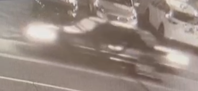A man fled with the dog in an older model vehicle, possibly a Mercury Grand Marquis, according to police