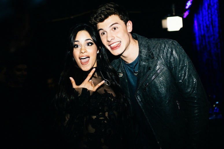 Camila Cabello and Shawn Mendes Share a Steamy Love Story on 'Señorita'