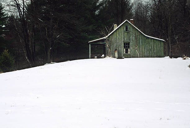 Newell Normand, Cabin Fever, New Orleans Snow Storm