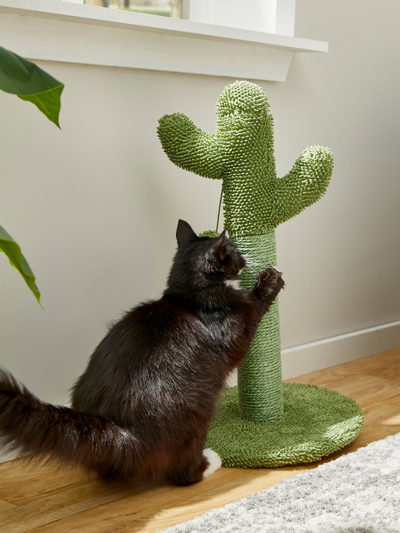 Cactus cat scratching post 