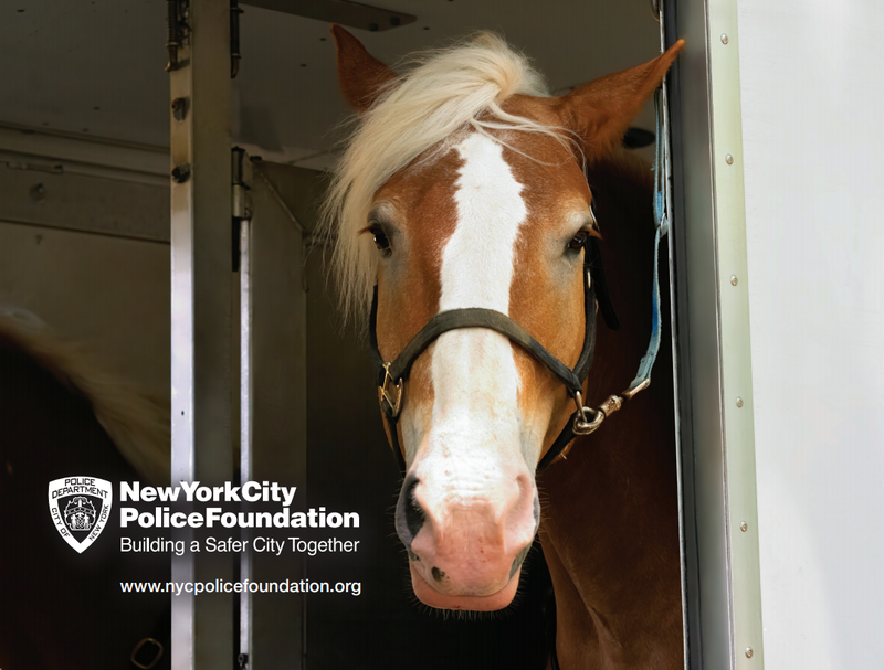 New York City Police Foundation's NYPD Canine & Friends 2021 Calendar