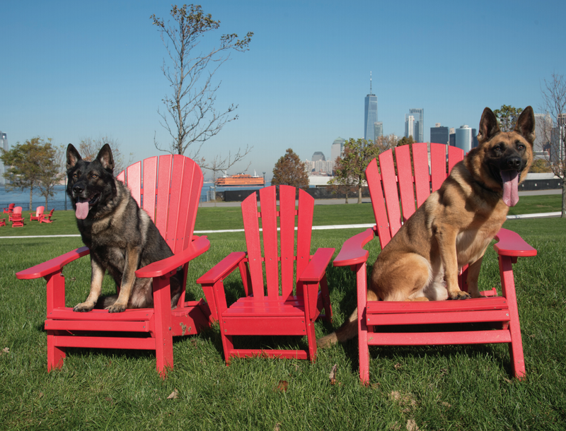 New York City Police Foundation's NYPD Canine & Friends 2021 Calendar