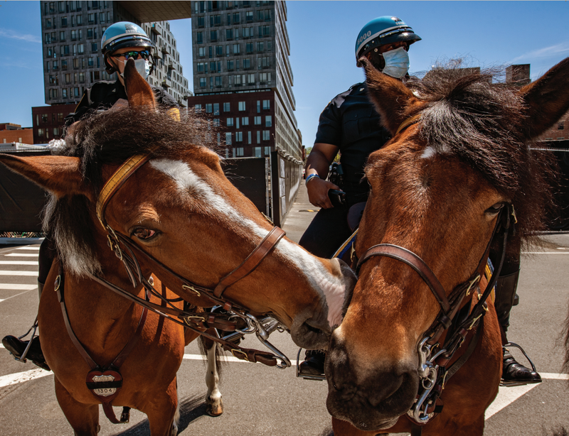 New York City Police Foundation's NYPD Canine & Friends 2021 Calendar