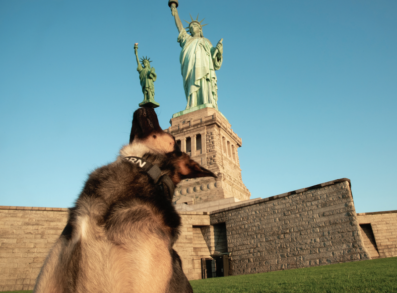 New York City Police Foundation's NYPD Canine & Friends 2021 Calendar