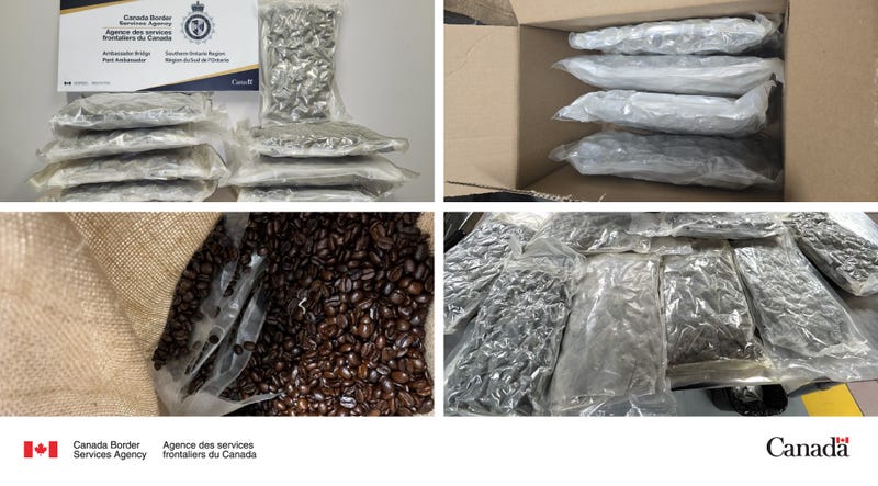 Marijuana seized in shipment of coffee at Ambassador Bridge