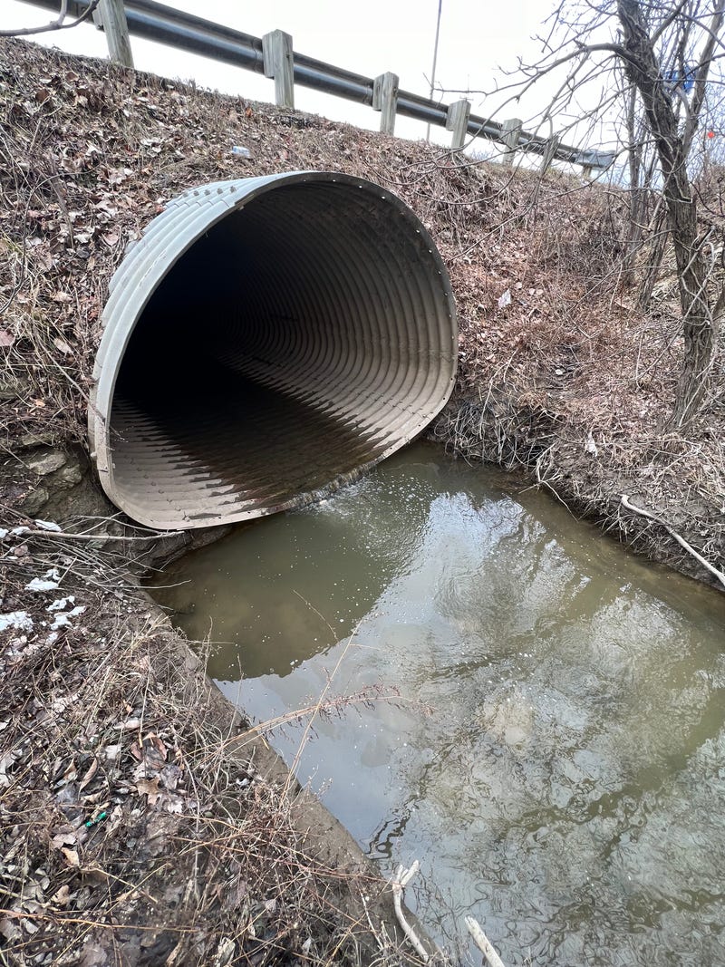 A section of the Canal Drain, as storm water flows from the culvert beneath Clinton River Road in Clinton Township.