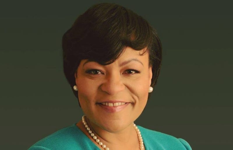 Clipping wings: Council takes issue with Mayor’s travel