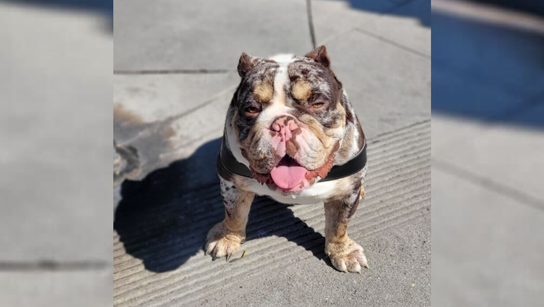 Capone