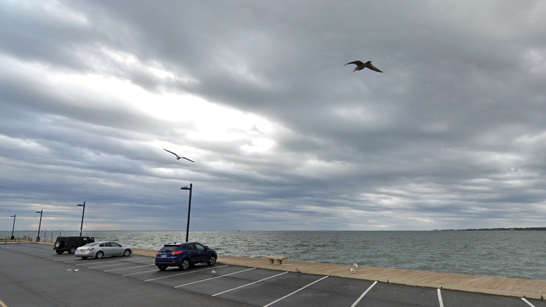 No todos los héroes llevan capa: Adolescente rescata a mujer que cayó con su vehículo en una bahía de LI