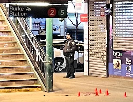 CRIMEN NYC