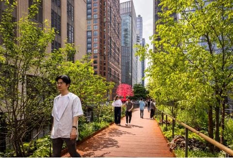 NUEVA YORK