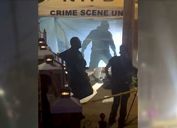 CRIMEN EN NYC