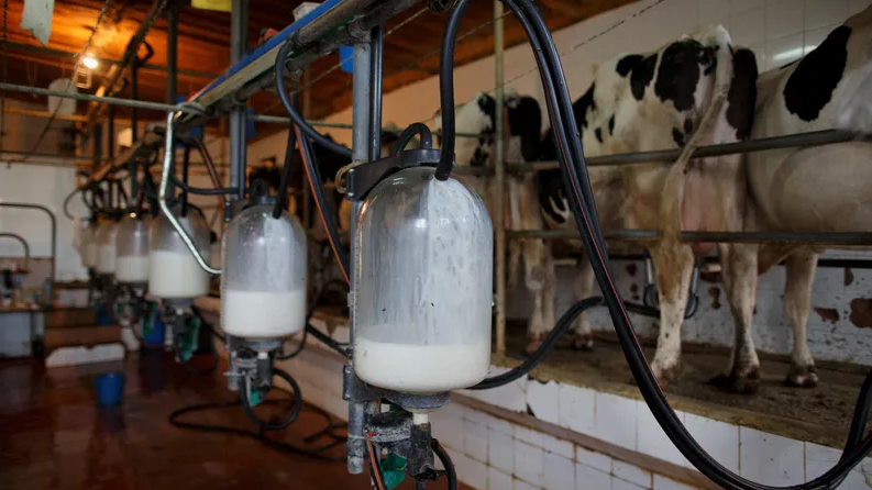 Más de 30 estudiantes de NJ fueron enviados al hospital tras consumir leche contaminada con un producto de limpieza