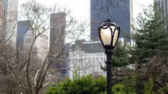 Hallan cuerpo mutilado en un parque infantil de Central Park
