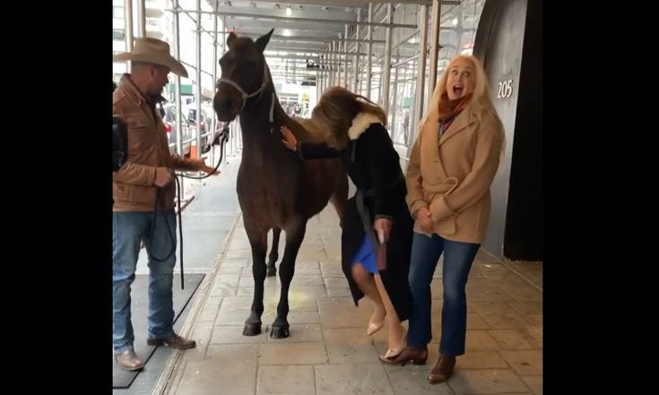"Good Day New York" host Rosanna Scotto gets a surprise from a horse during a live segment on Dec. 13, 2021.
