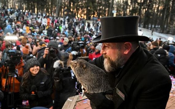 marmota