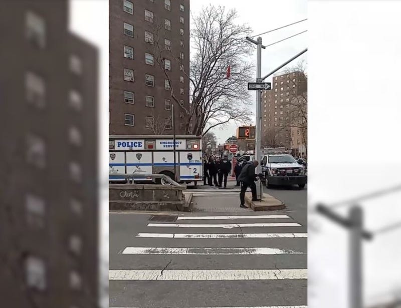 NYC CRIMEN