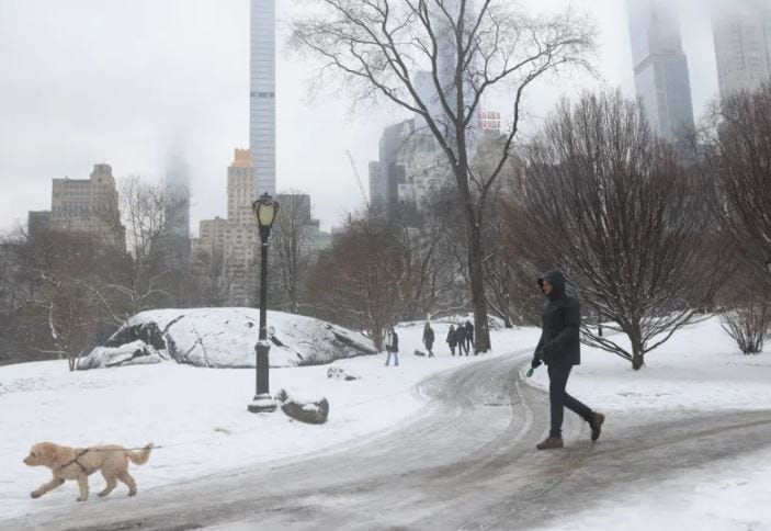 NIEVE CENTRAL PARK