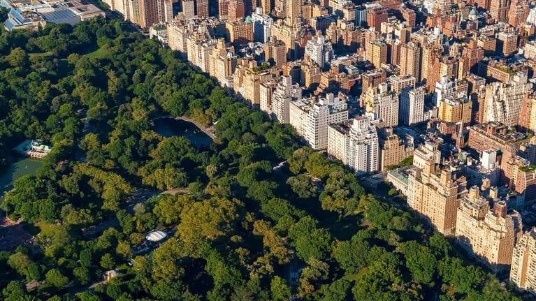 Encuentran hombre "parcialmente descompuesto" en el lago de Central Park