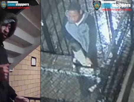 CRIMEN EN NYC