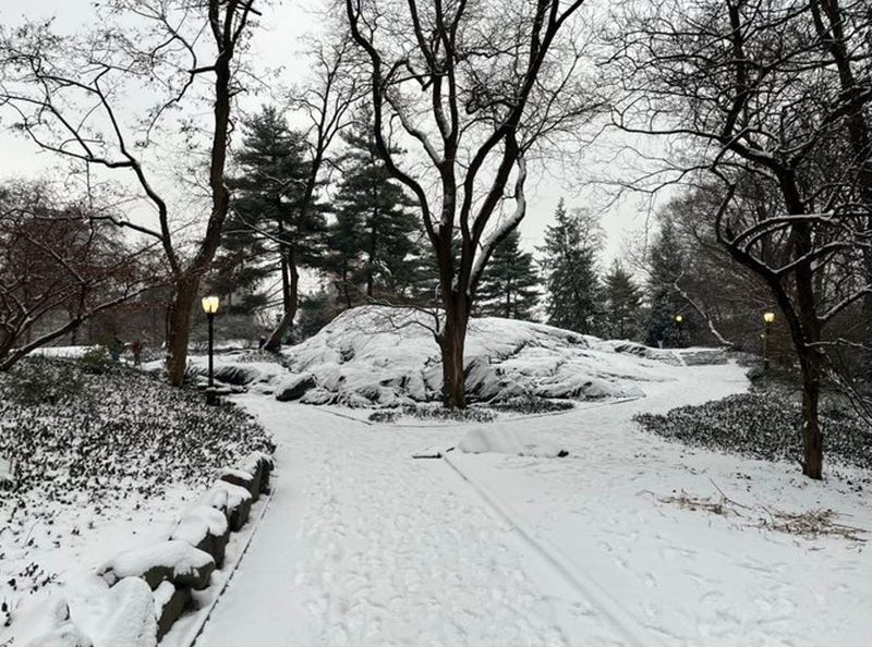 Central Park con nieve