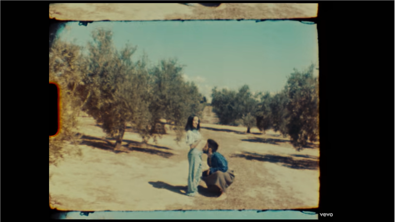 Camilo y Evaluna están embarazados y la reacción de Mau Montaner es un meme