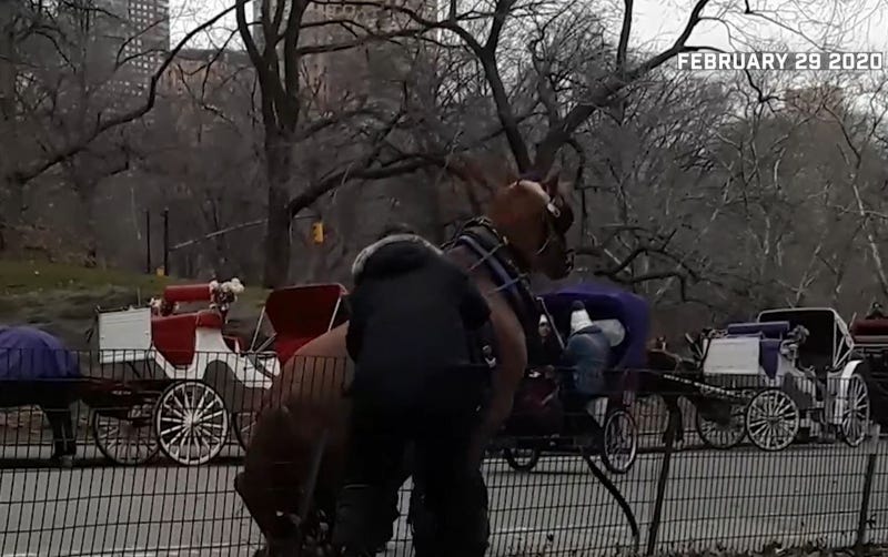 Horse Drawn Carriage 