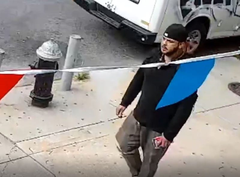 Subway assaulter
