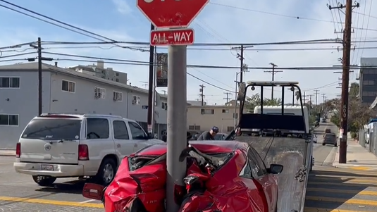 Officers searching for witnesses in L.A. hit-and-run