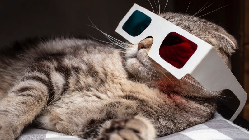 3d kitty Getty Images