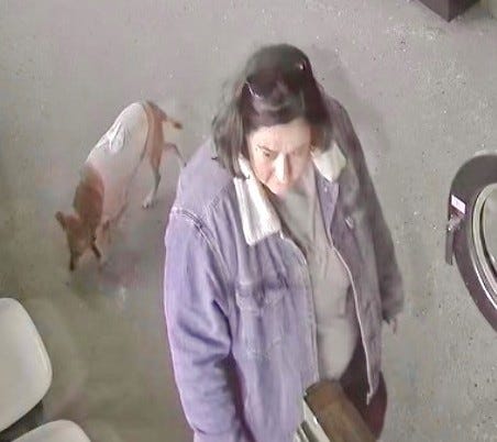 Woman accused of taking cat