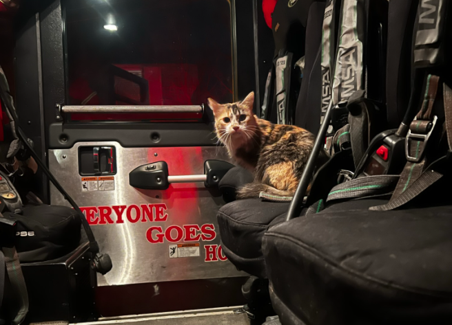 Cat rescued by New Kensington Fire Department Company 2