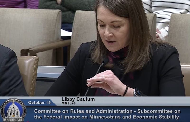MNsure CEO Libby Caulum tells a Minnesota Senate panel Wednesday that they are preparing enrollees for some potentially painful changes under the federal budget bill passed earlier this year.