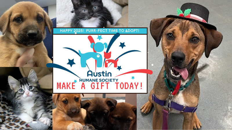 AHS 2025 / Make a Gift Today! / Canva