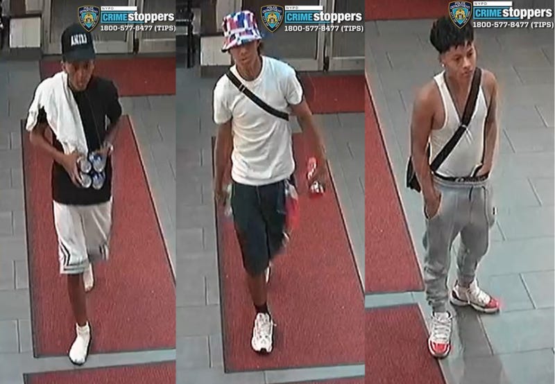 Police are searching for three teen suspects in a violent robbery in Central Park on Aug. 11