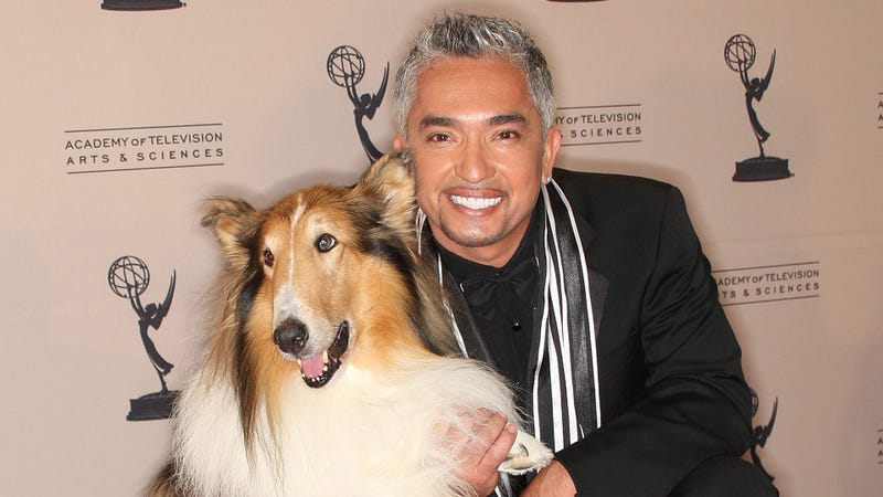 Cesar Millan