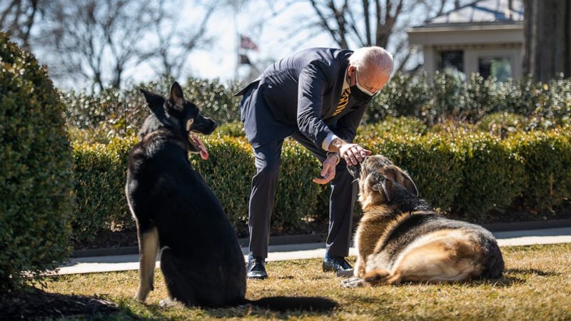 President Biden with Champ and Major