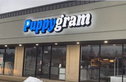 Storefront for Puppygram in Berkley. The new pet store is under investigation for allegedly selling animals without proper licensing.