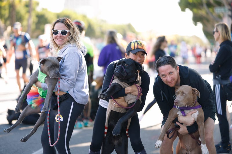 Angel City Pit Bulls Cheer crew