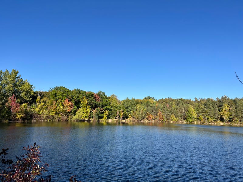 Lake near Chestnut Ridge Park Commissioner's Cabin, Orchard Park, N.Y.