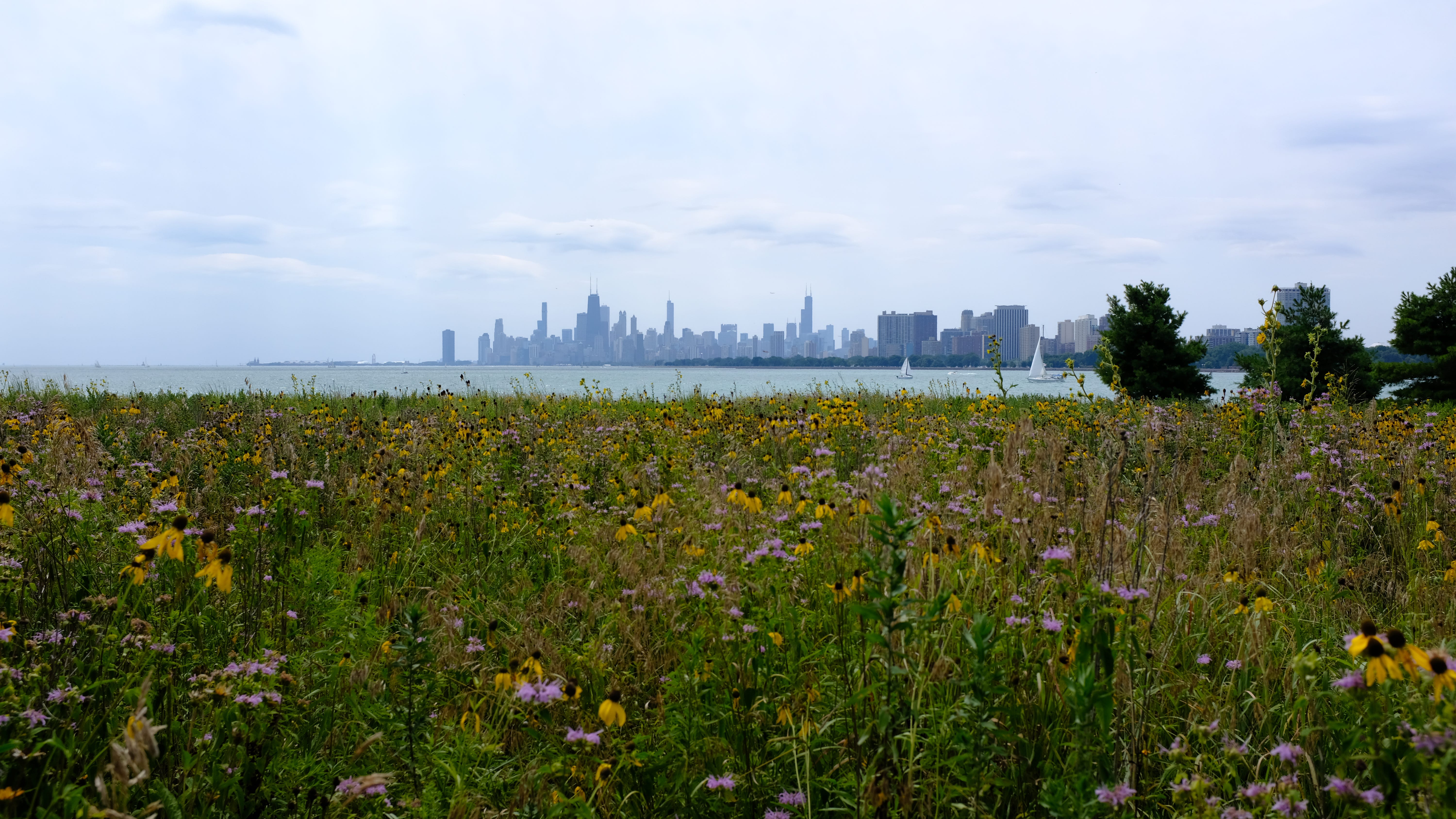 Historic grant funding going toward Chicagoland parks projects
