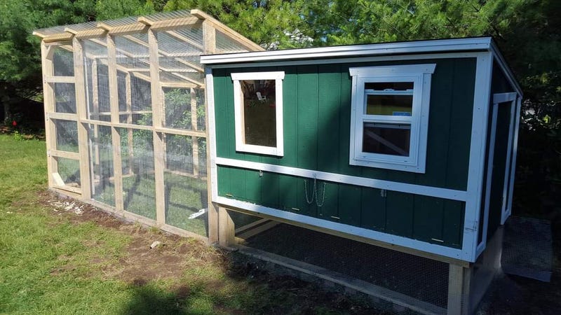 Kendra's friend Blake has a Chicken Coop