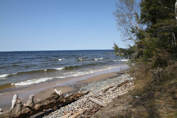 If you ever wanted some beach front property or acreage up north for hunting and other activities, an online auction of state-managed land that begins next month might be the big break you're looking for.