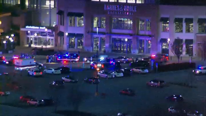 mall storefront with police cars in front of it