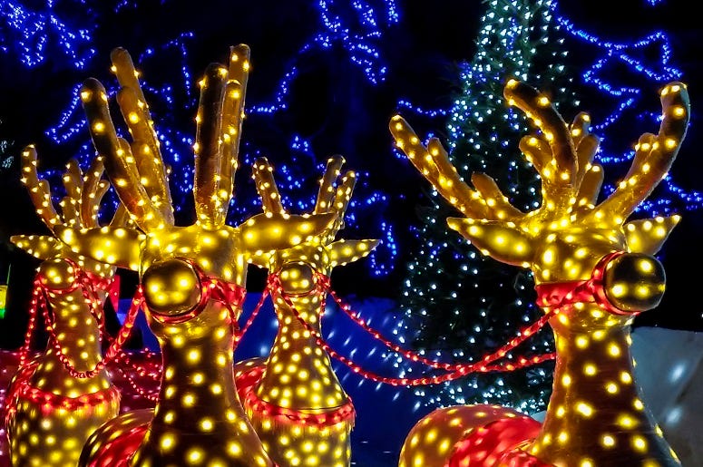 Holiday Magic at Washington State Fairgrounds