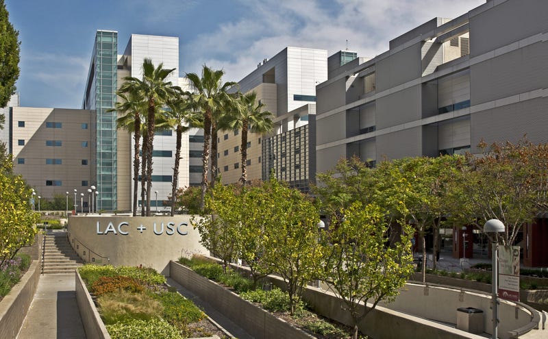 L.A. County Department of Health Services