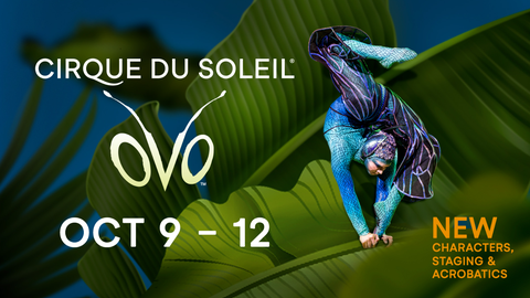 Cirque du Soleil: OVO