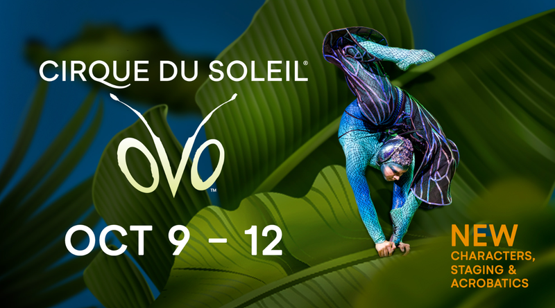 Cirque du Soleil - OVO